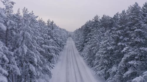 Aerial Footage of Road in Winter Forest Landscape