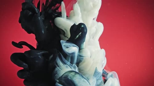 Abstract Black and White Inks Blending