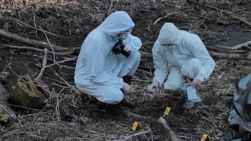 Forensic Specialist Working in the Forest Police Criminalists Collecting Evidence and Making