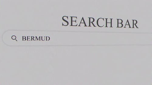 Bermuda Search Bar
