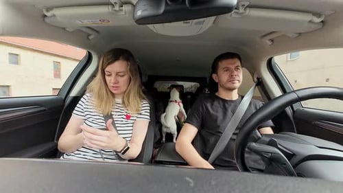 Family Road Trip With Active Dog