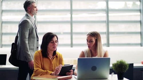 Business team collaboration around laptop in modern office environment