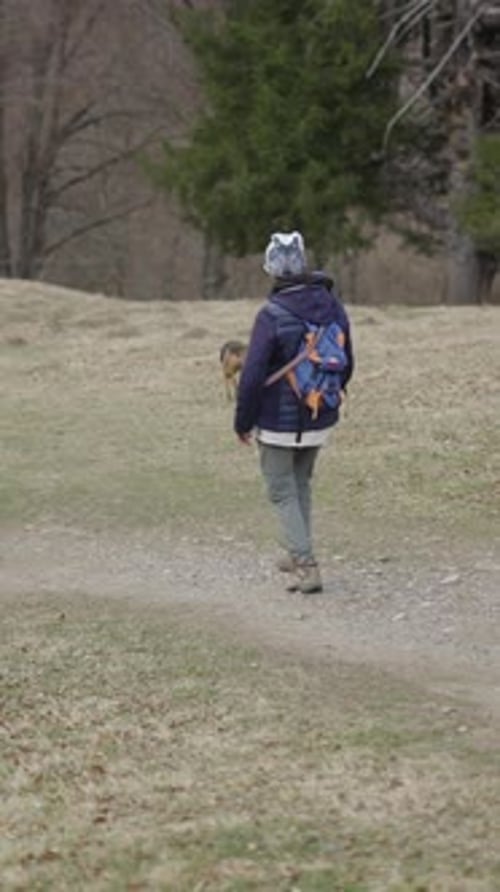 Person Walking Dog on Trail in Nature