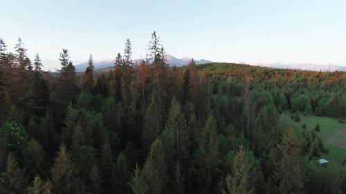 Aerial View of a Summer Mountain Landscape with Rocky Peaks