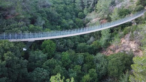 Suspended bridge surrounded by lush green forest, aerial view