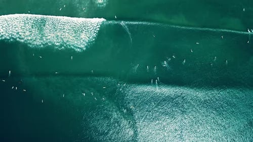 Aerial View of Surfers Paddling Waiting for Waves at Popular Spot Drone Footage Over Blue Ocean