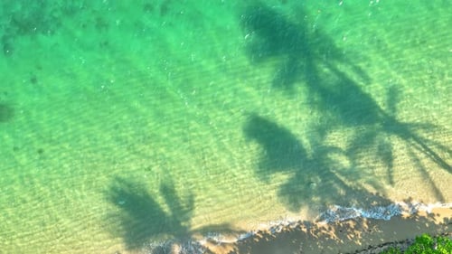 Aerial view from a drone over a beach in a beautiful tropical sea. 4K.