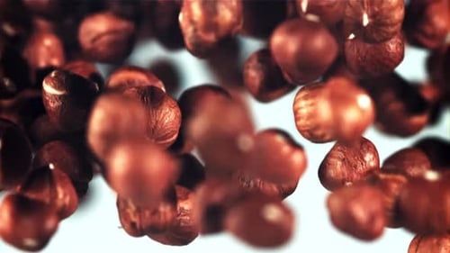 Peeled Hazelnuts Rise Up and Rotate in Flight