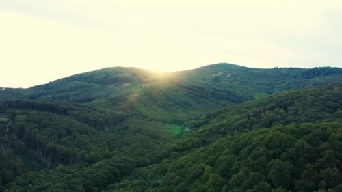 Aerial shot of the sunset over a beautiful green forest. Descending from the sky to the trees. Long