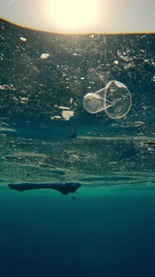 Plastic Cup Floating Under Water at the Beach