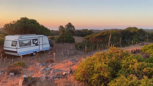 Lonely caravan surrounded by lush bushes glows in the golden hour light