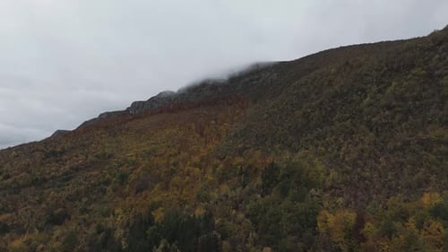 Vast Mountain Forest In Autumn Long Shot