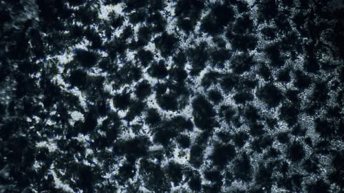 Melting ice frost on glass under microscope