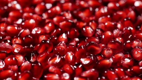 Pomegranate Seeds Macro Close-Up Still Life