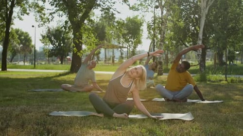 Group of Seniors Doing Side Bends in Park during Training