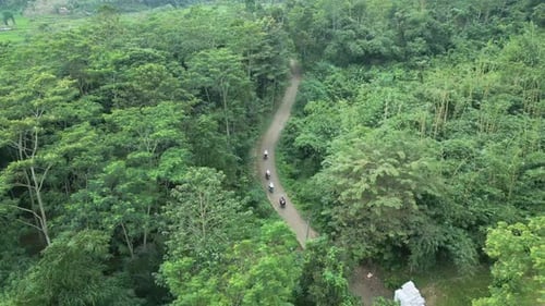 Aerial shot on a road between trees and vegetation, and people riding a motorcycle on it.