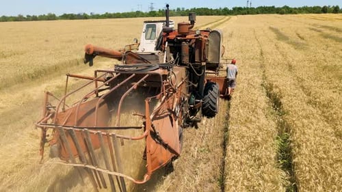 Un granjero viaja a trabajar en una vieja cosechadora