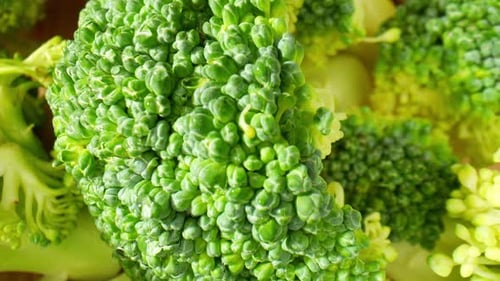 Vibrant Close-Up of Fresh Broccoli Florets