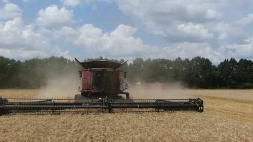 Aerial View on a Combine Harvester During Harvesting of Wheat