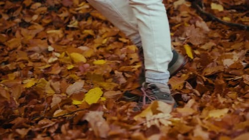 Hiking Boots Walk on Fallen Autumn Foliage Leaves