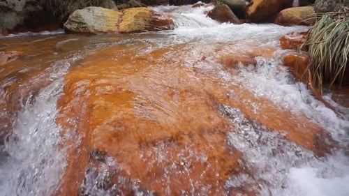 clear river water flowing in the mountains and green trees with a stretch of orange rocks