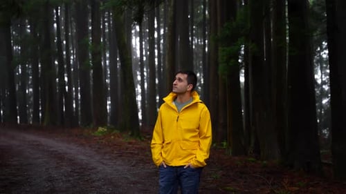 Medium shot of man in yellow raincoat waiting in dark, scary forest
