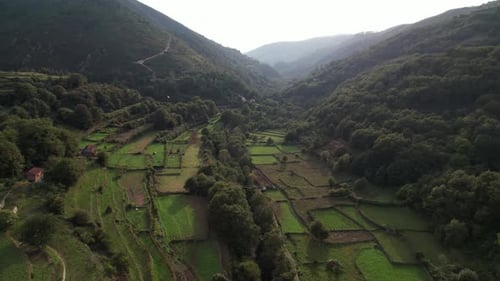 Nature in the Mountains