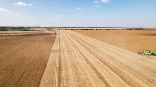 The work of combines in the field. Harvesting soybeans. Aerial view