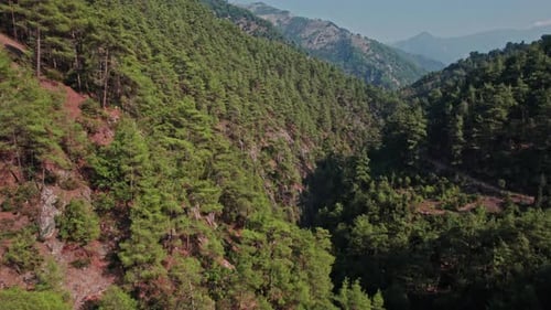 Scenic Mountain