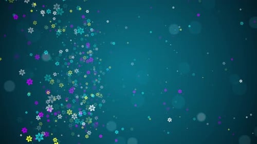 Animated Colorful Flower Petals Flowing Background Loop