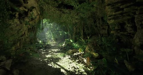Exploring a Lush Green Forest Path Illuminated By Sunlight in the Wilderness