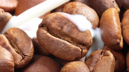 Splash Steam Milk In Roasted Coffee Beans. Close-up Shot