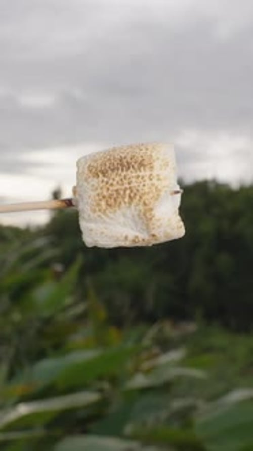 Marshmallow on a Stick Getting Toasted Over Fire