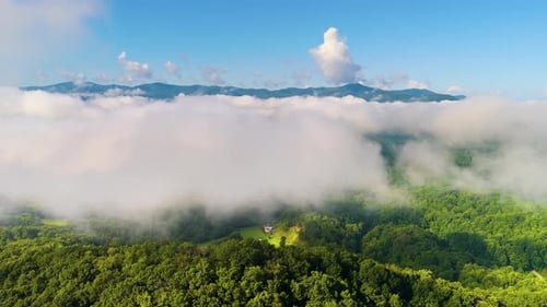 Nature Landscape of Tennessee Appalachian Mountains Mountain Forest with Green Canopies in Summer