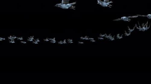 Flying Frozen Birds with Crystalline Texture and Alpha Channel