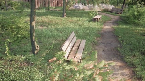 Seating Area on the Valley Walking Trail