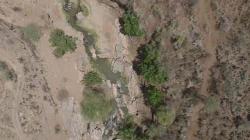 Aerial view of stream through arid land, Kenya.