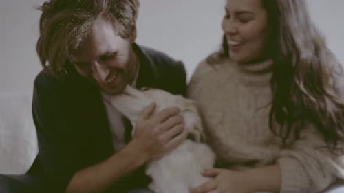 Home, love and couple with a dog, happiness and bonding with wellness, joy and playful in a lounge