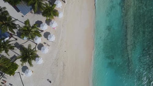 Tropical White Sand Beach at Sunny Day