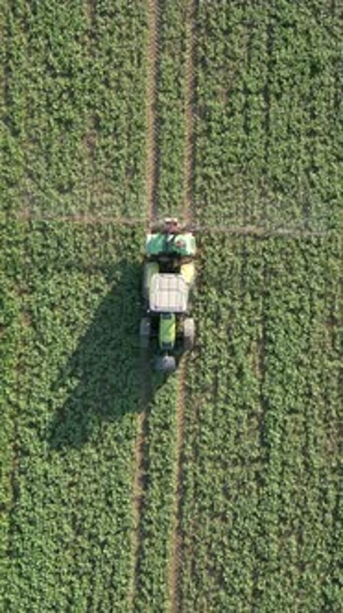 Tractor Sprays The Field Top View