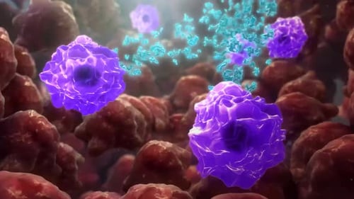 Microscopic Immune Cell Activity 3D Animation