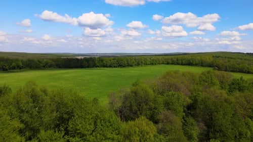 Aerial View of Green Lush Forest with Large Bare Area of Cut Down Trees As Result of Global