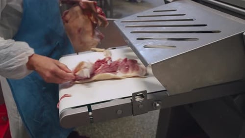Gloved Worker Places Meat on Conveyor Belt