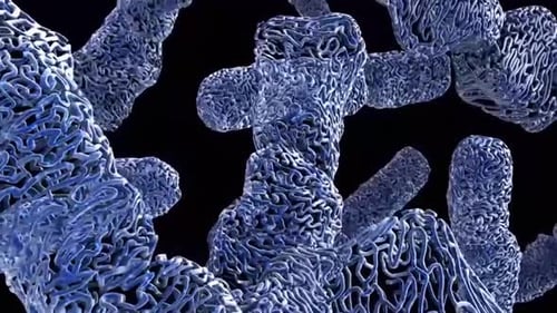 Microscopic view of bacteria cells with intricate patterns on surface