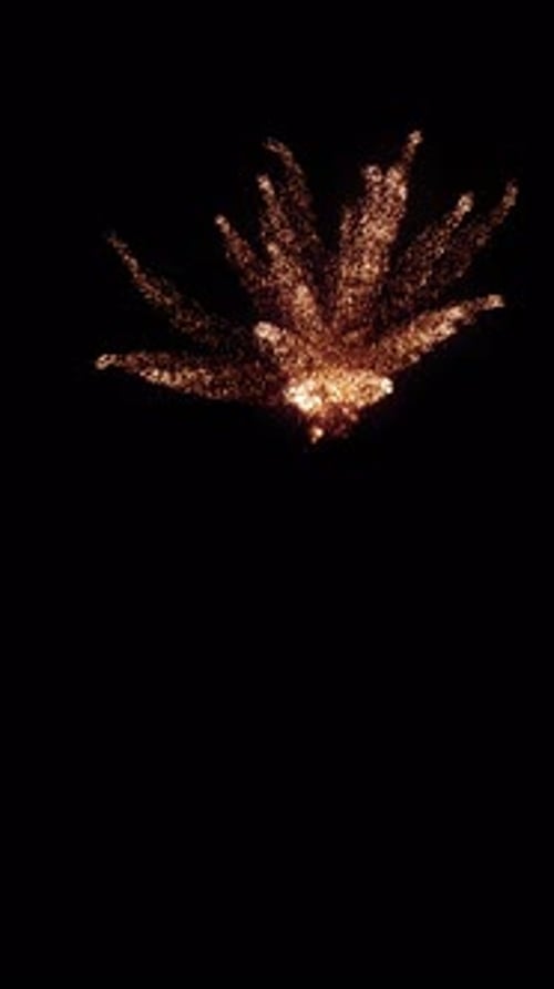 Golden Particle Burst Reveal Animation