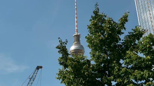 Sommer in Berlin, im Hintergrund der Berliner Fernsehturm.