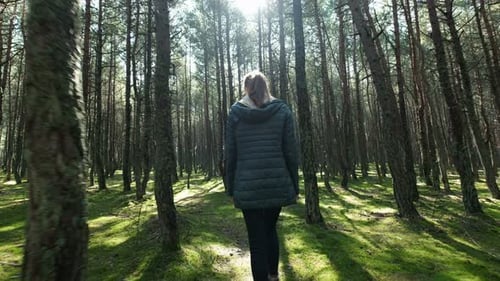 Brave woman hiker journeying through the forest sunlight and springtime foliage