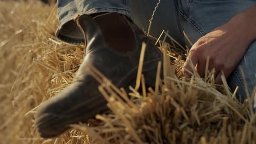 Man's Boot on Hay Bale in Golden Sunlight