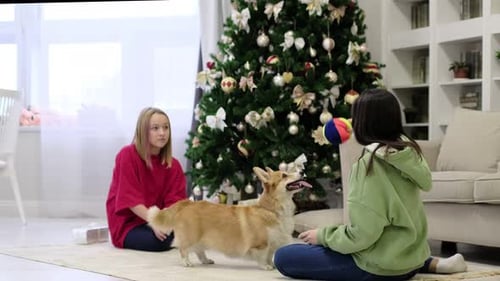 Children Play With Dog in Front of Christmas Tree