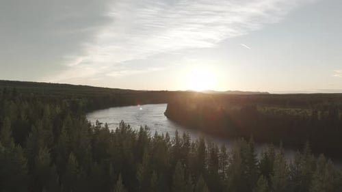 Drone shot flying over a calm river in Norway during golden hour in between green pine trees on a su
